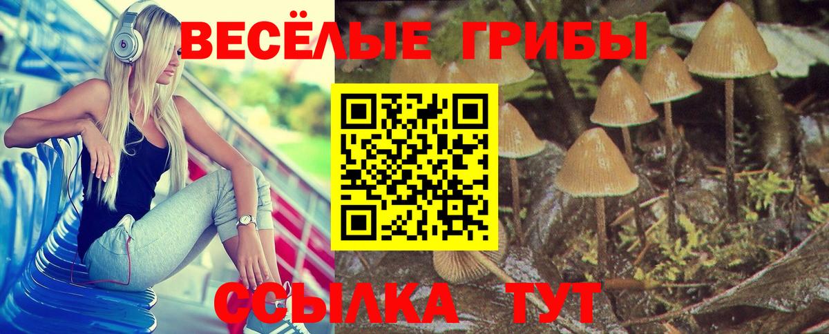 Шадринск  Галлюциногенные грибы прущие грибы  Вход с VPN 