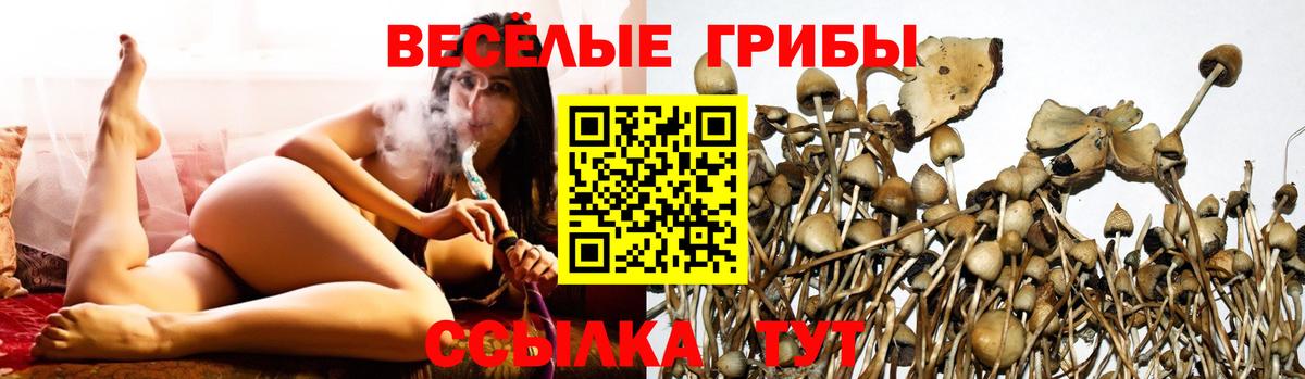 Псилоцибиновые грибы MAGIC MUSHROOMS Шадринск